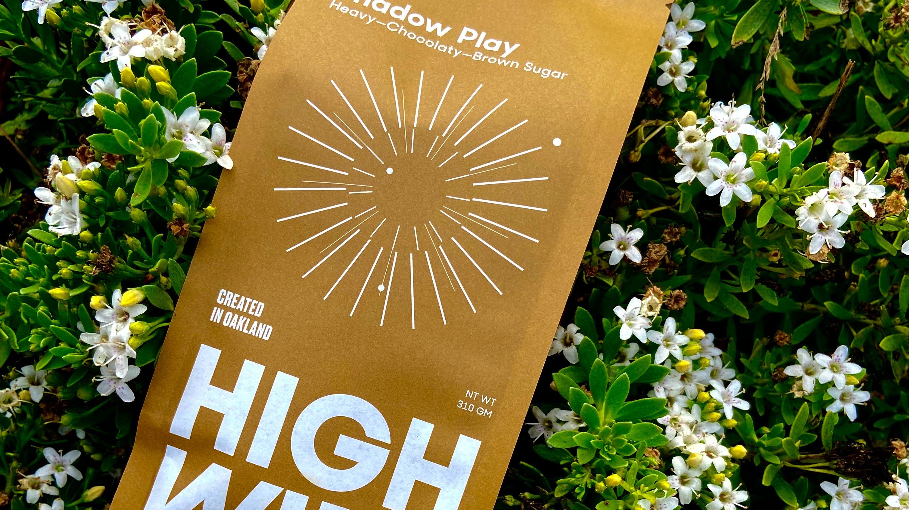 Coffee of the Week: Shadow Play