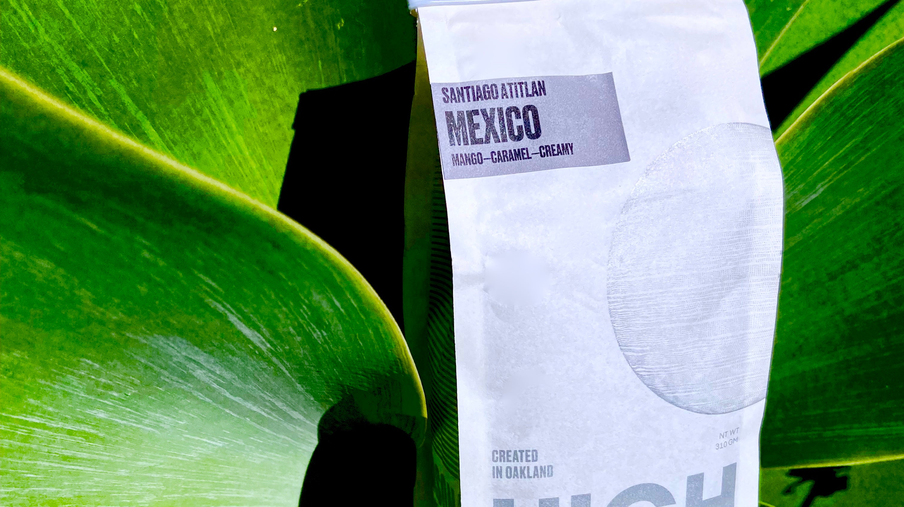 Coffee of the Week: Santiago Atitlán, Mexico