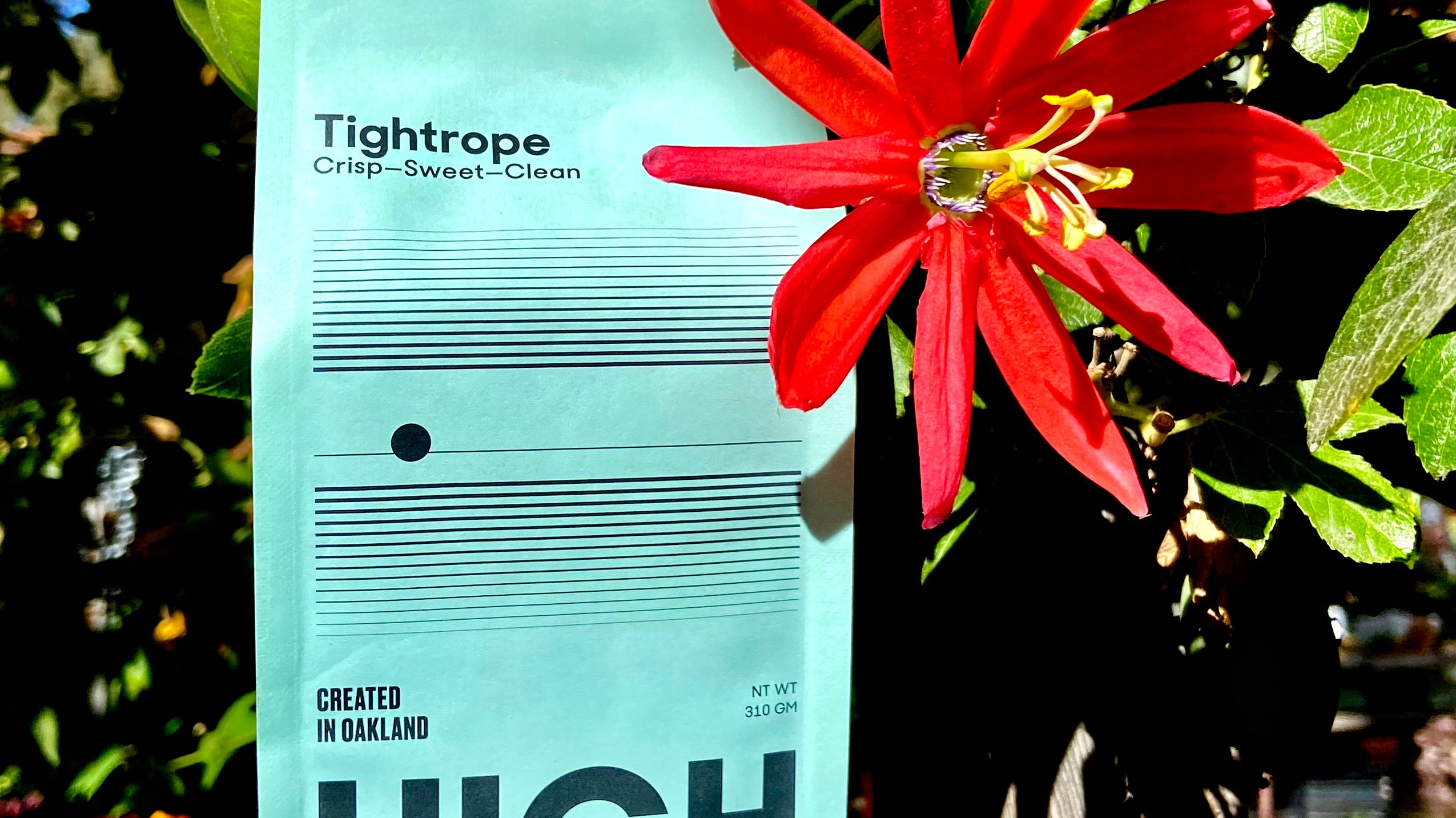 Coffee of the Week: Tightrope
