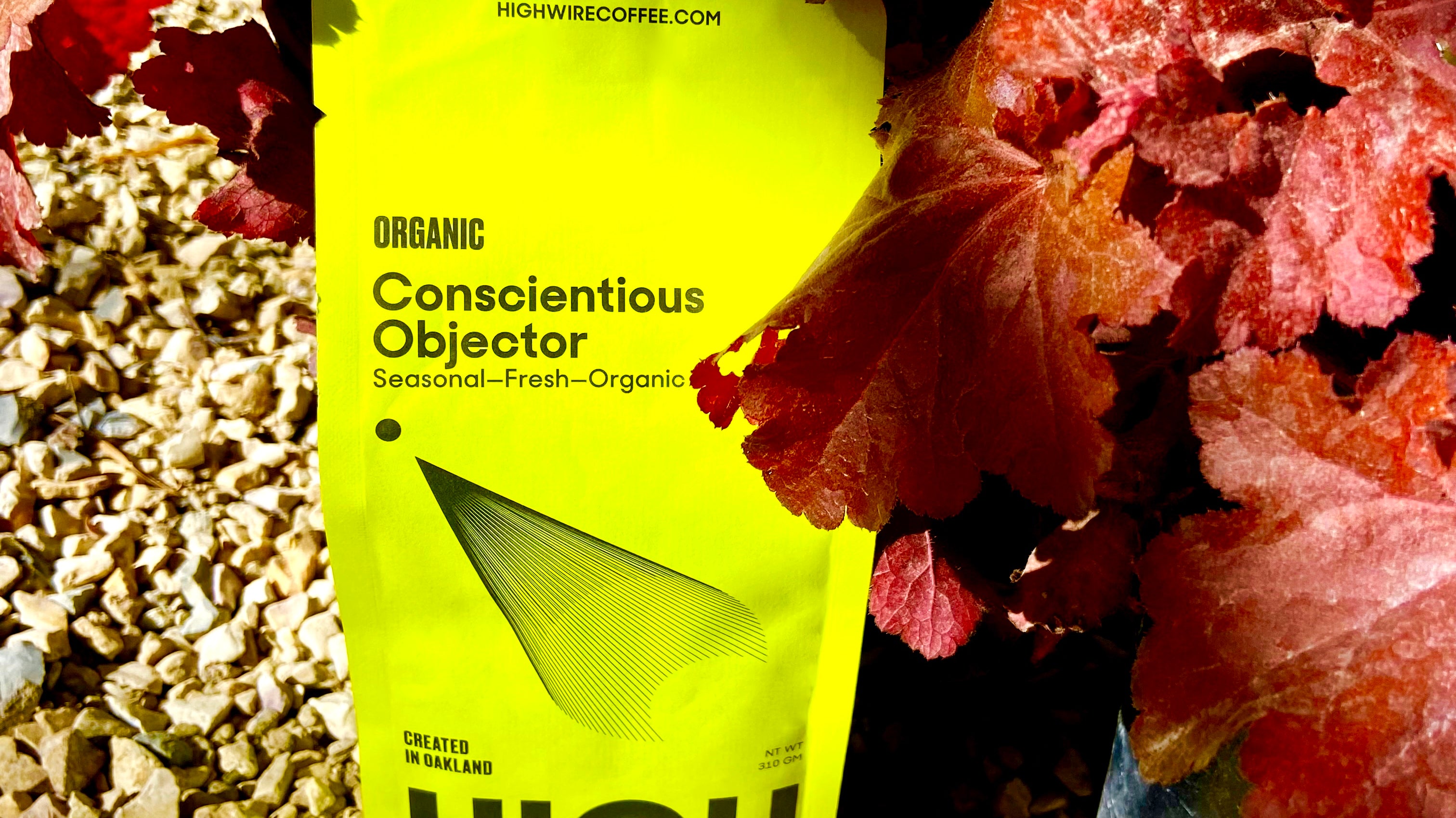 Coffee of the Week: Conscientious Objector