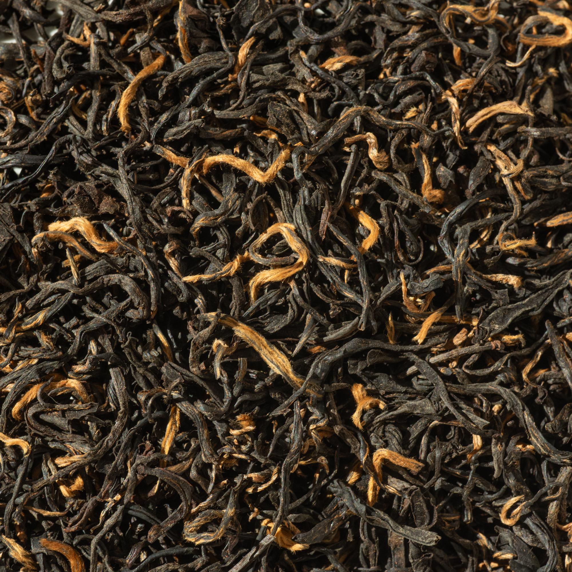 Winter Morning 2025 - Highwire Coffee Roasters