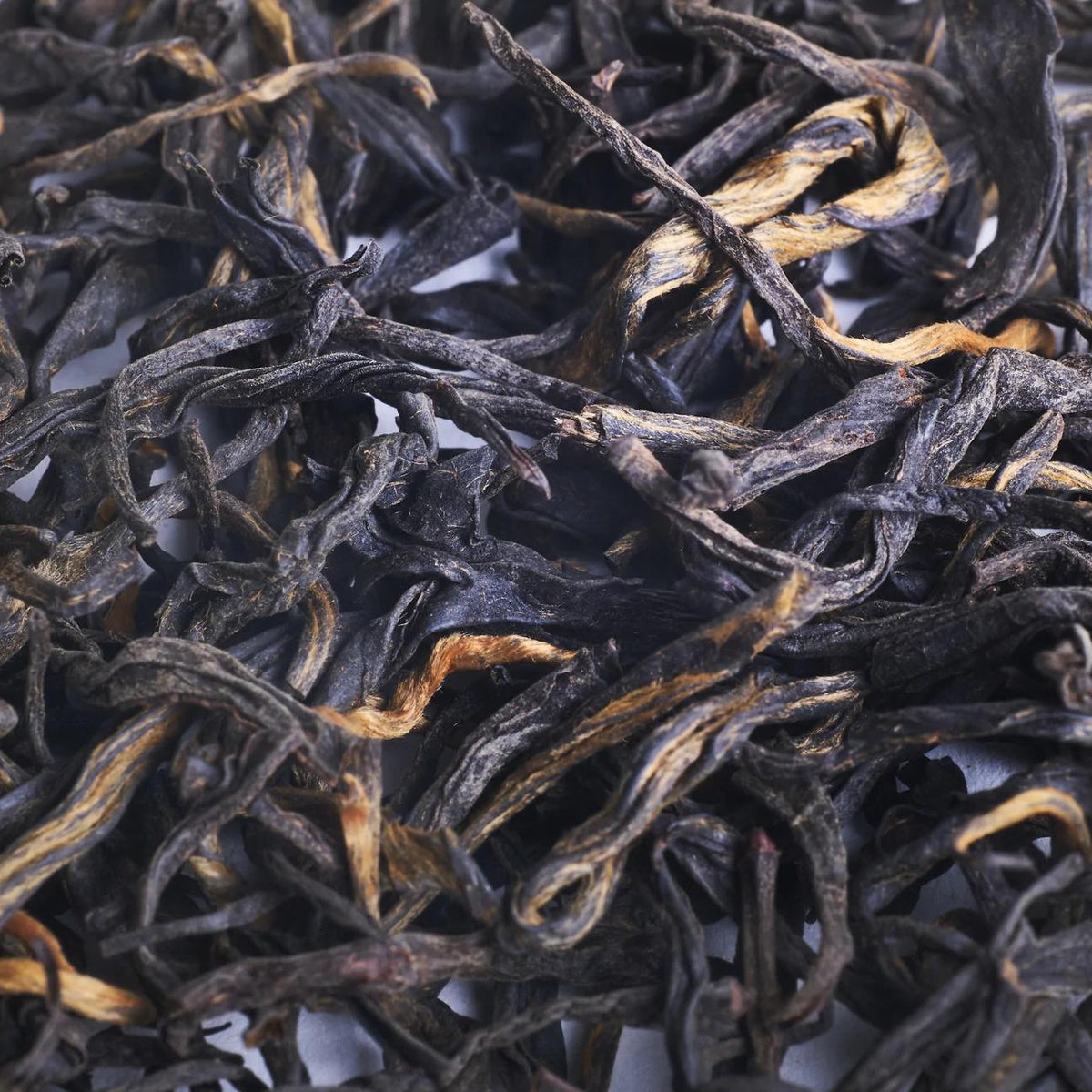 Close-up of dried black tea leaves from China, ranging in color from golden tips to black leaves
