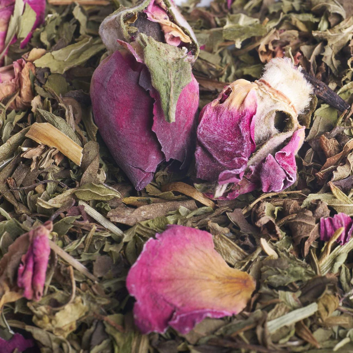 Close-up of dried pink rose petals and green leaves