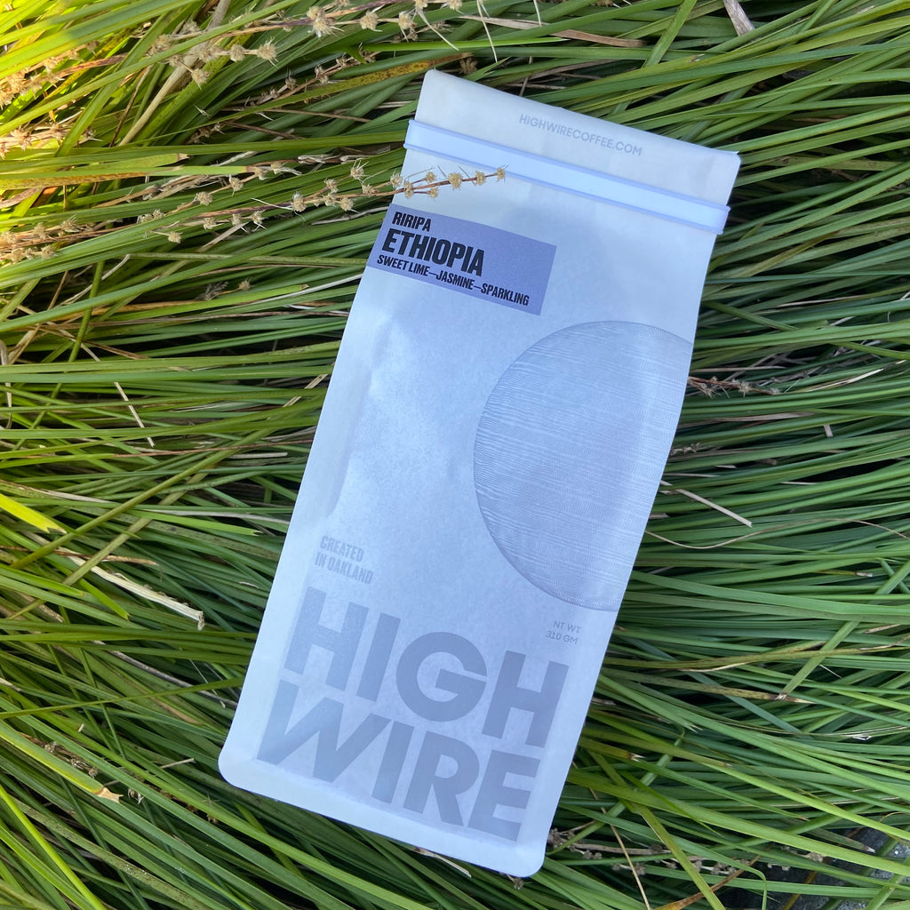 Roastery Log: Riripa Ethiopia